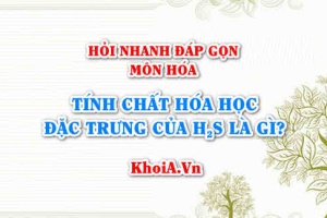 Tính chất hóa học đặc trưng của H2S Hidro sunfua là gì? Hỏi nhanh đáp gọn môn Hóa